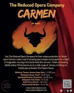 The Reduced Opera Company